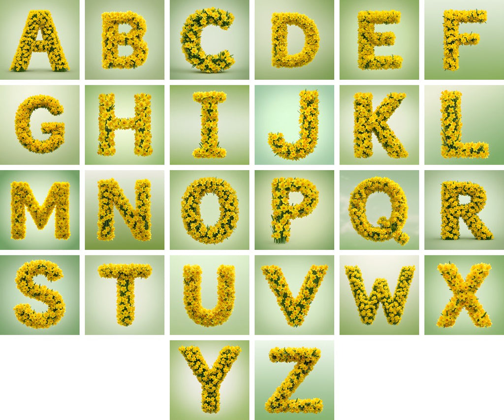 Golden Daffodil Spring alphabet — all 26 letters