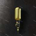 Golden Spotlight Microphone Art — print 1