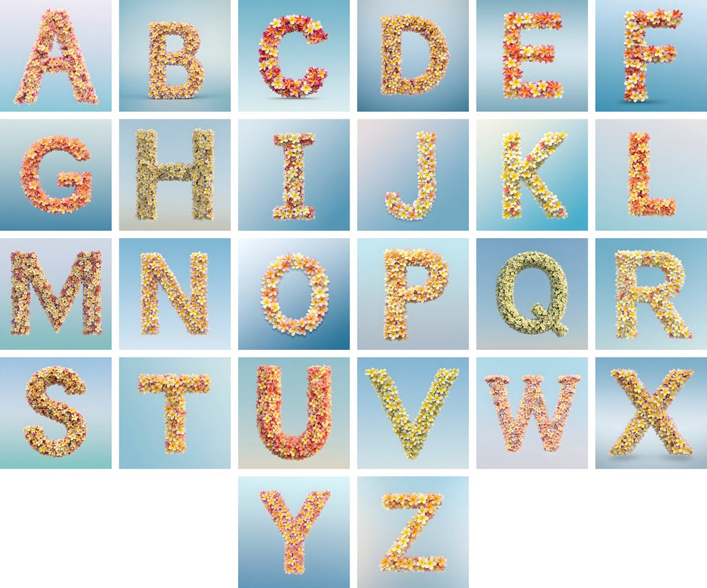 Plumeria Frangipani alphabet — all 26 letters
