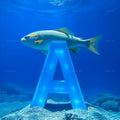 Underwater Fish alphabet — printable letter A