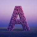 Purple Rose alphabet — printable letter A