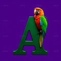 Tropical Parrot Violet alphabet — printable letter A